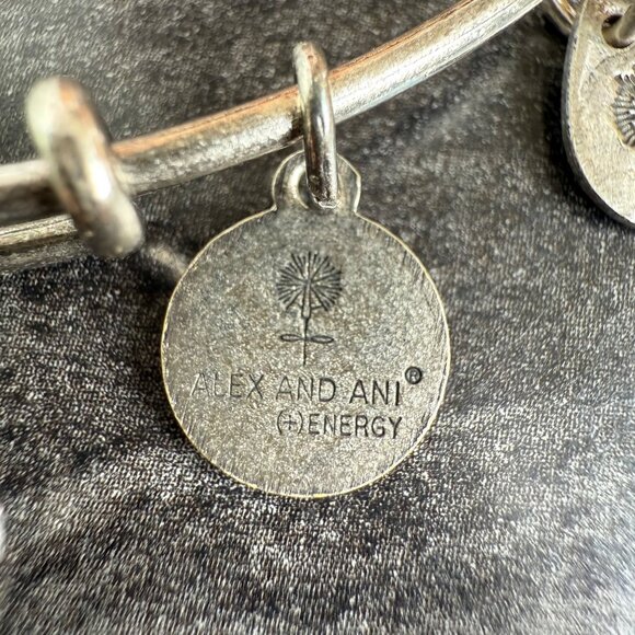 Alex and Ani Apple Charm Bracelet Silver Nature Expandable Bangle - Picture 12 of 14